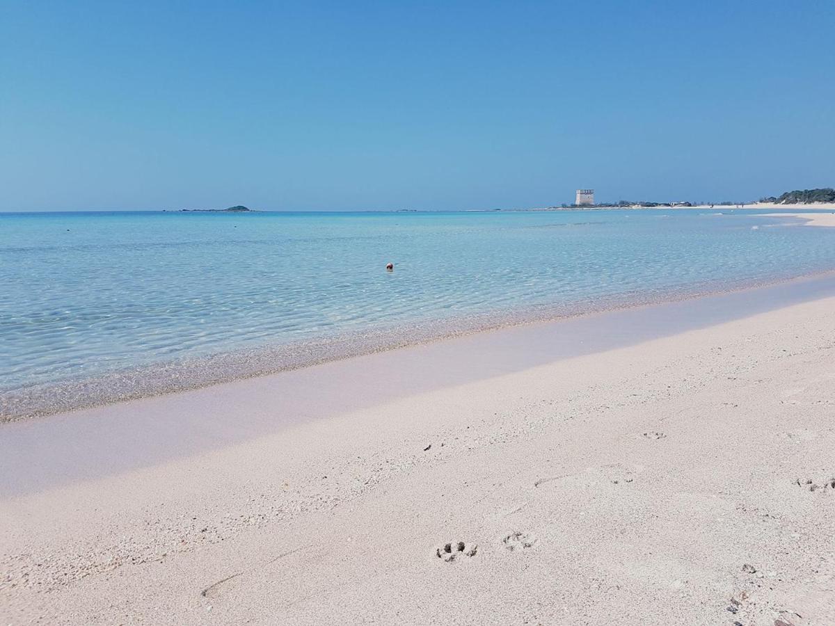 Hotel Posidonia Porto Cesareo Exterior foto